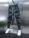 Spring And Autumn Men Harem Pants Zebra Striped Trousers Sport Clothing Cargo Sweatpants Brushed Loose Waist Versatile Pants